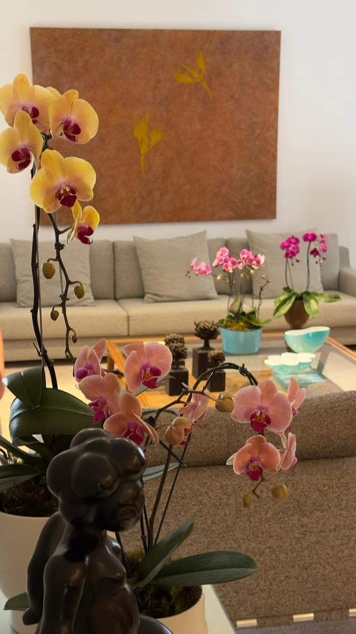Apartamento Lourdes — 