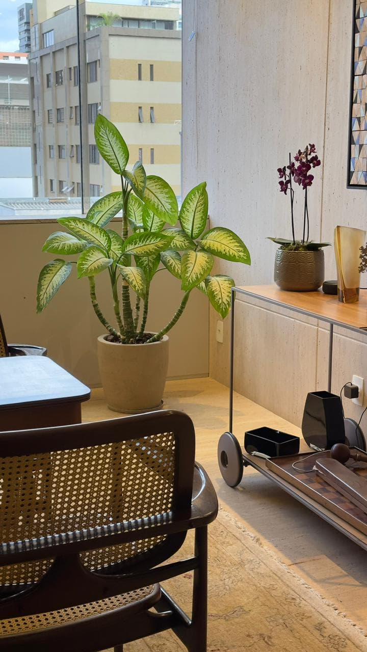 Apartamento Lourdes — 