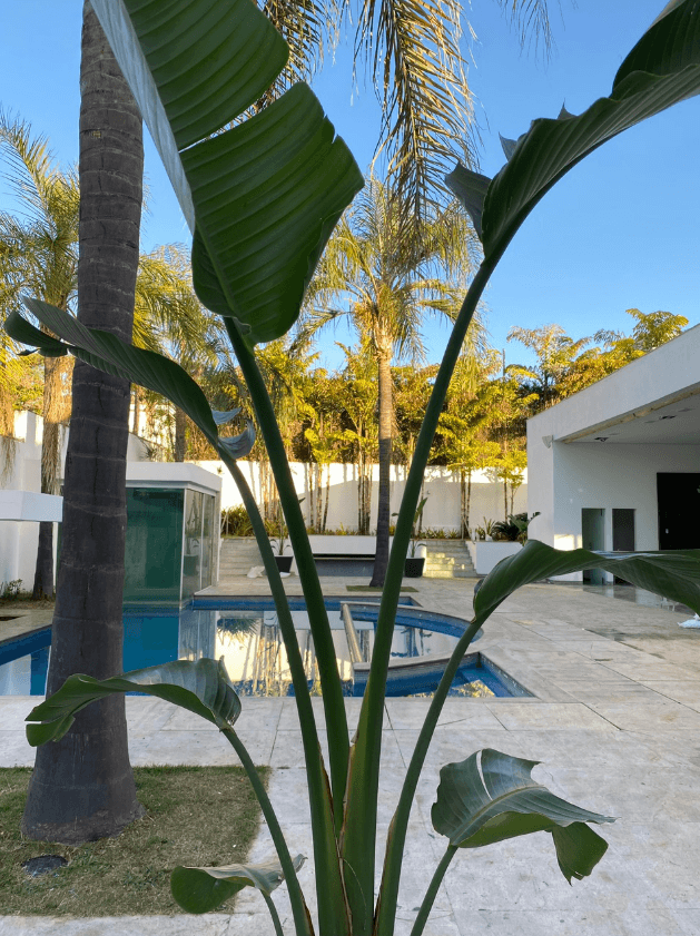 Casacor 2019 — Composição botânica