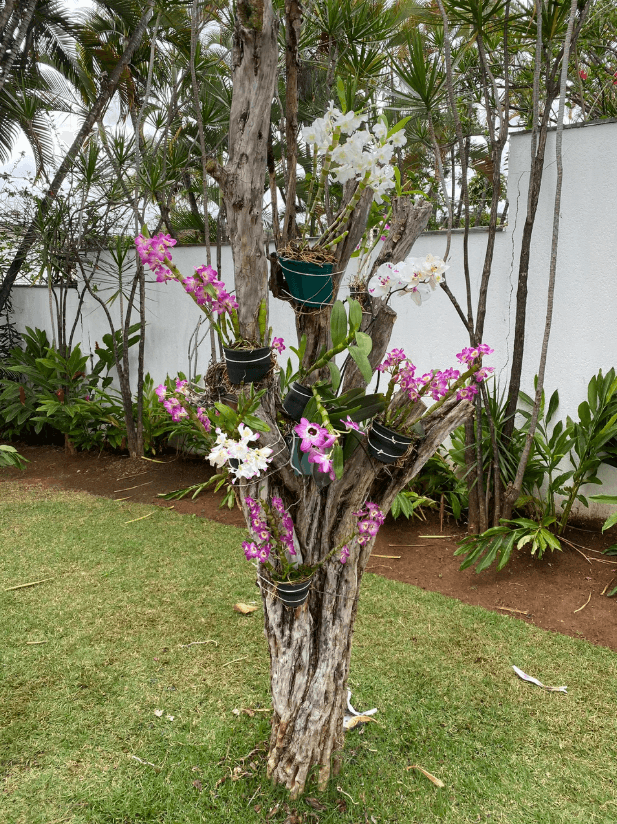 Casacor 2019 — Detalhe verde