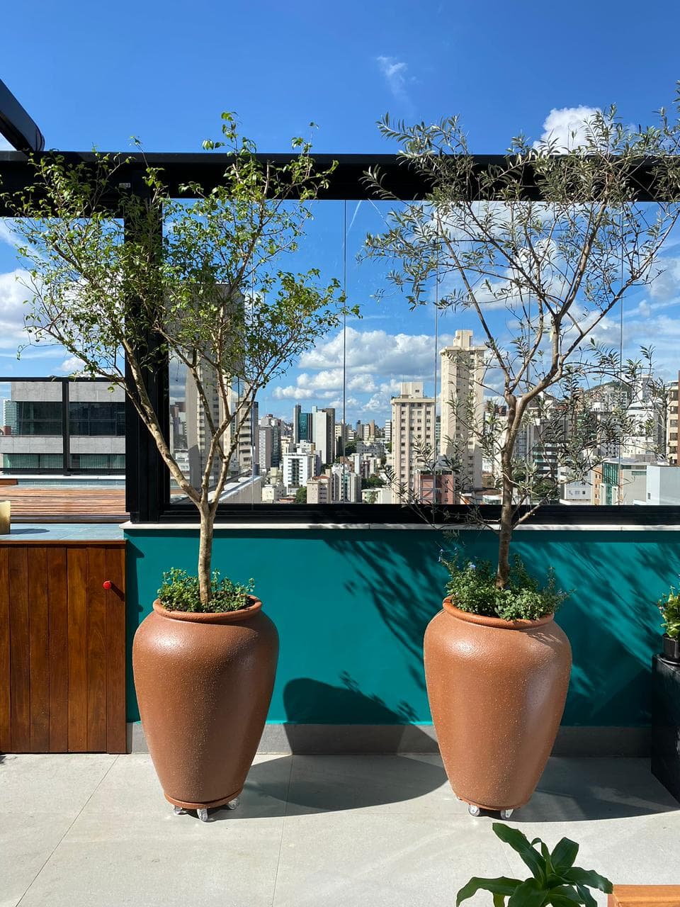 Cobertura Anchieta — 