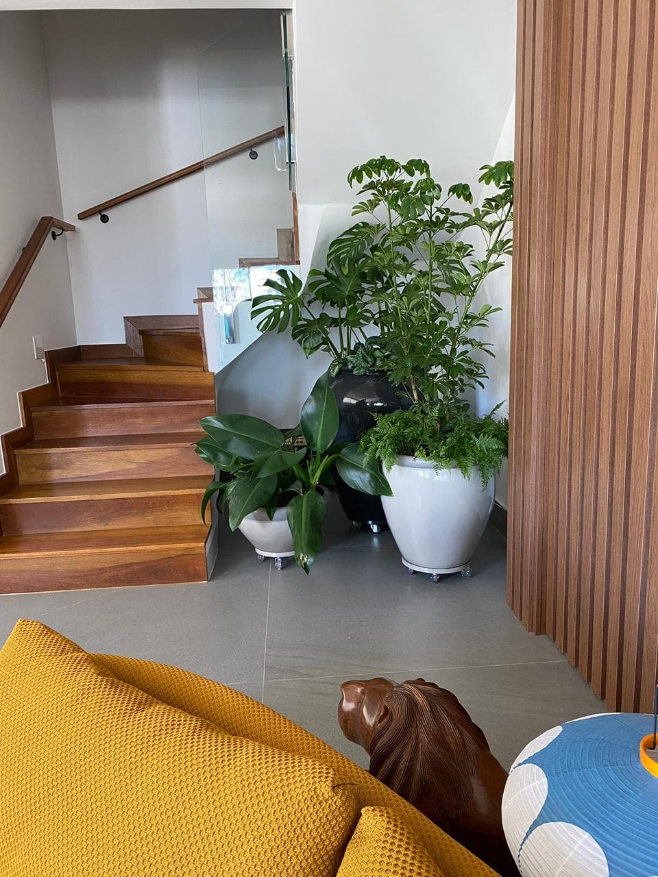 Cobertura Anchieta — 