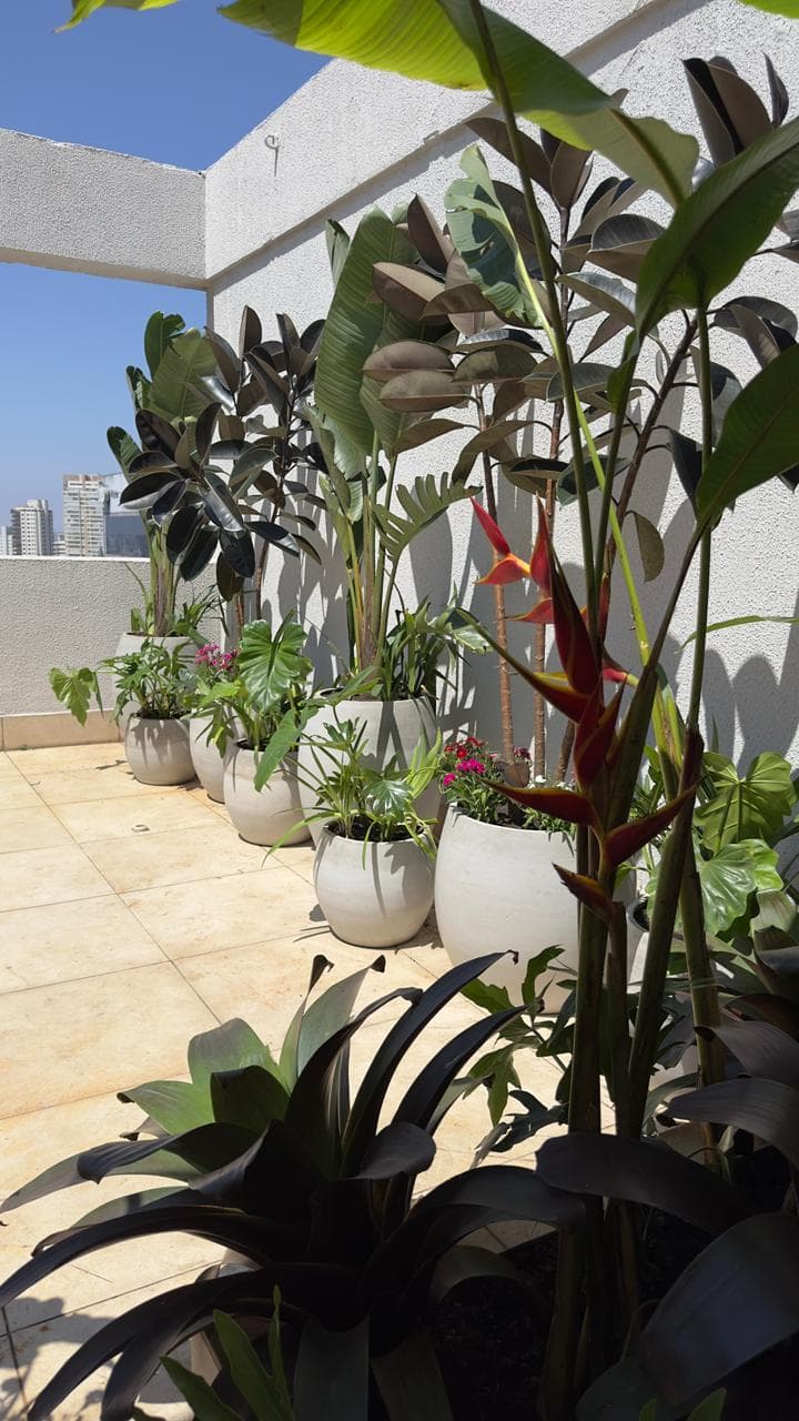 Cobertura Jardins São Paulo
