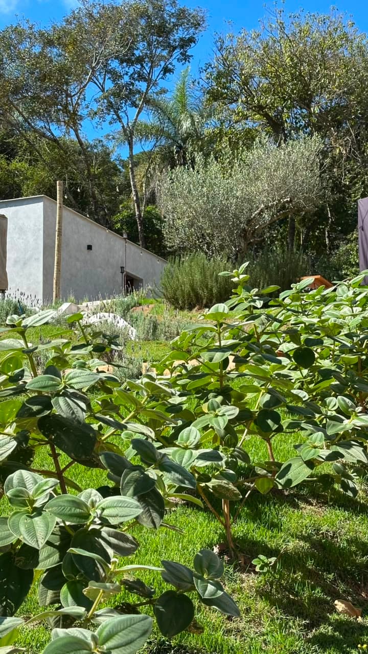 Casa Rio Acima —