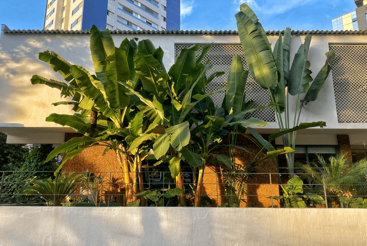 GUAJA Casa