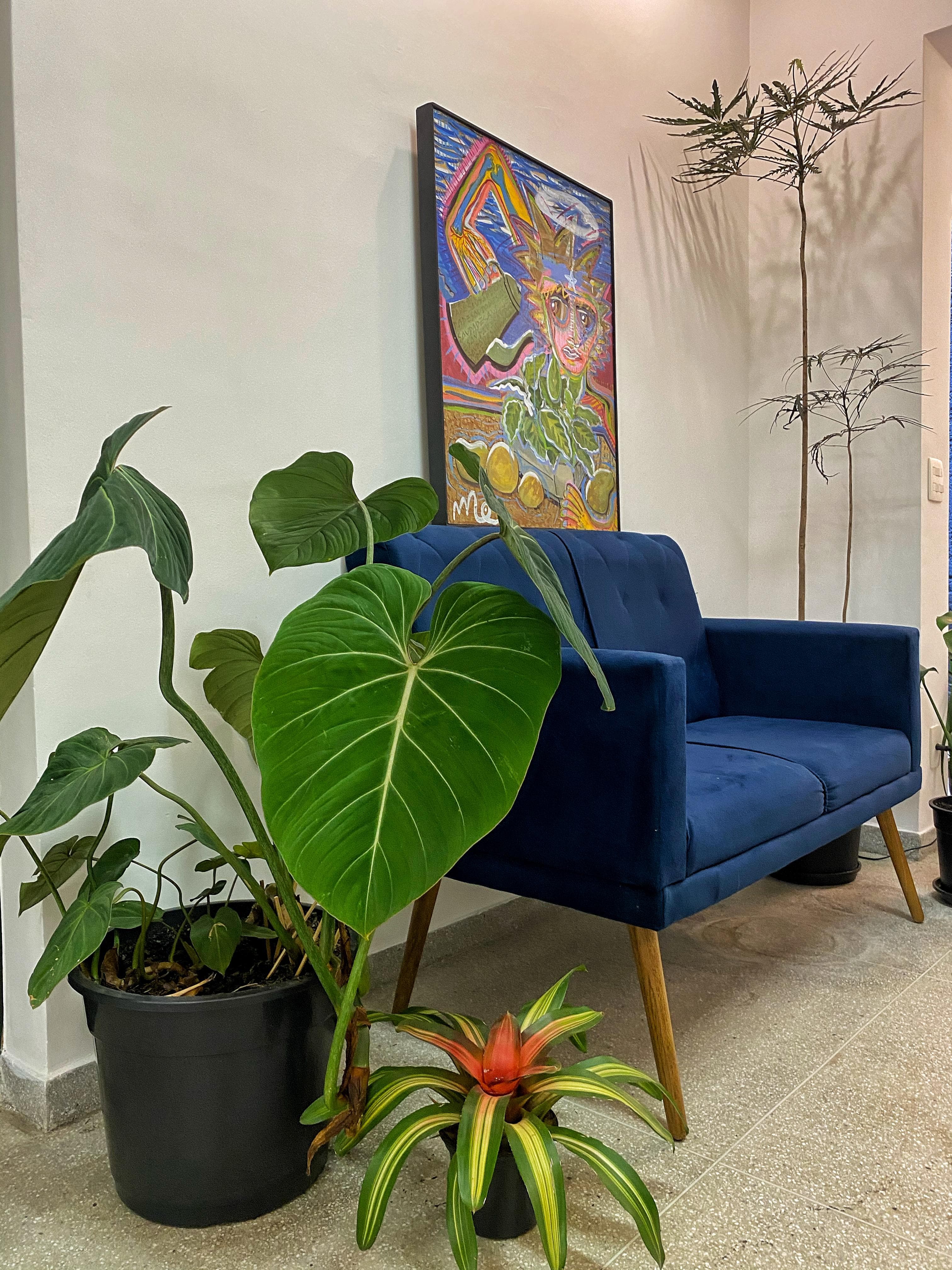 Casa Mangabeiras — 
