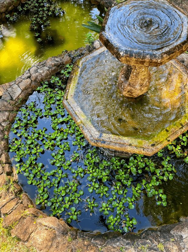 Casacor 2019 — Detalhe verde