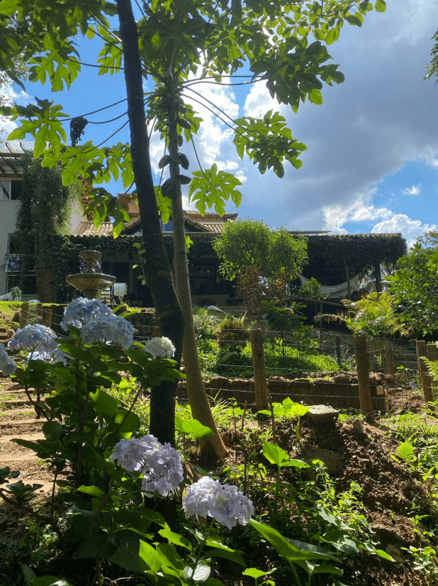 Casacor 2019 — Composição botânica