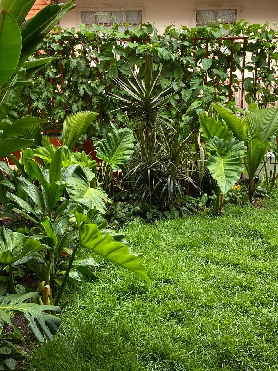 Casa Santo Antônio — 