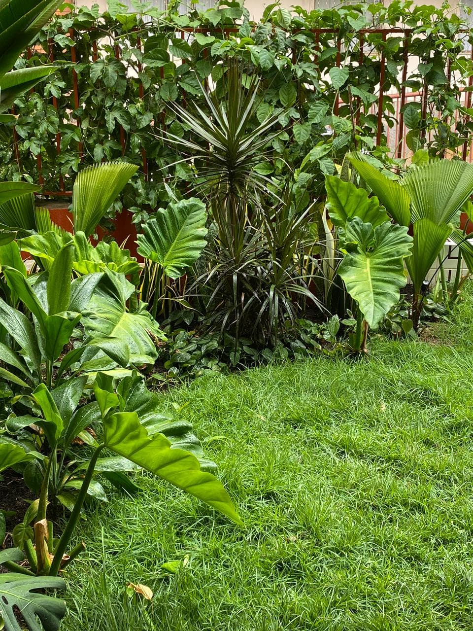 Casa Santo Antônio — 