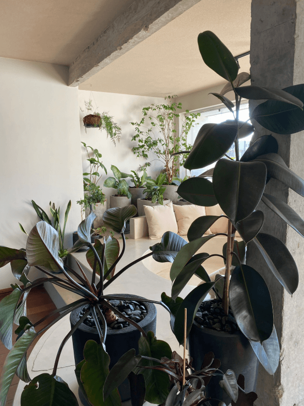 Casacor 2019 — Composição botânica