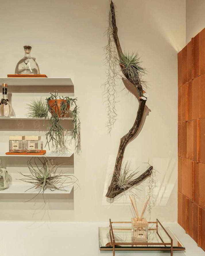 Casacor 2019 — Detalhe verde