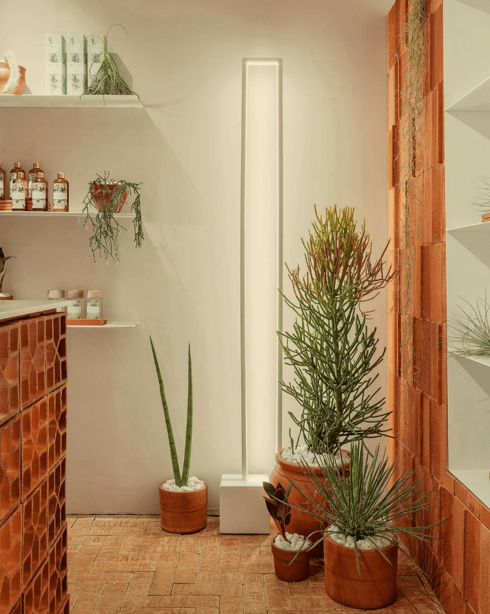 Casacor 2019 — Plantas de interior