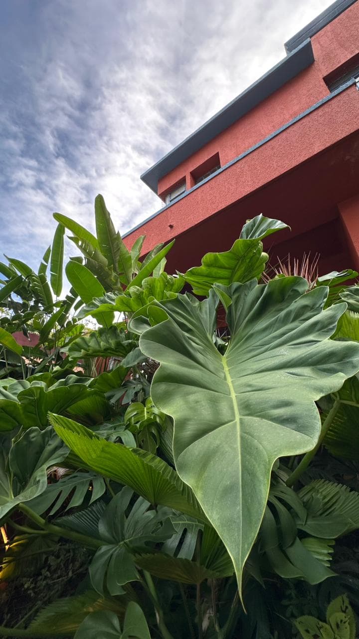 Casa Azeite —