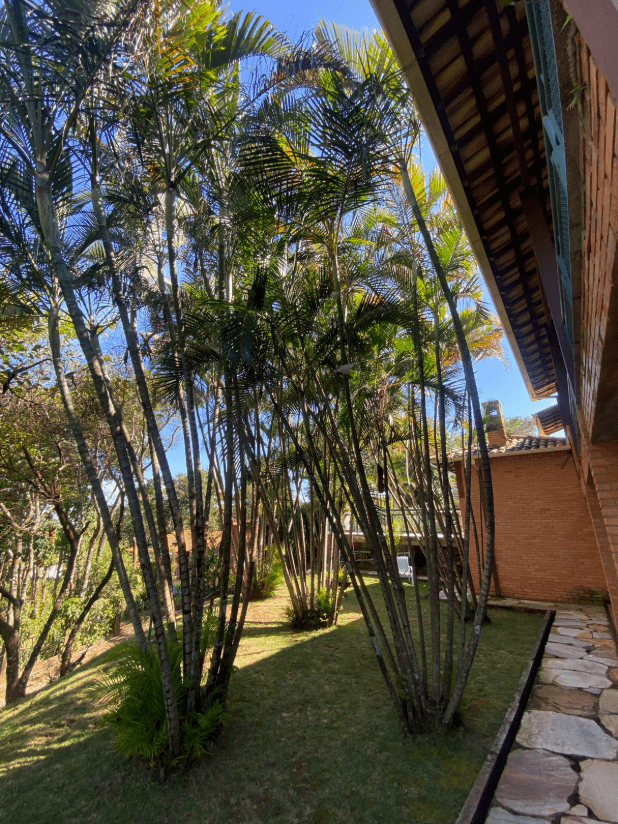 Casacor 2019 — Composição botânica