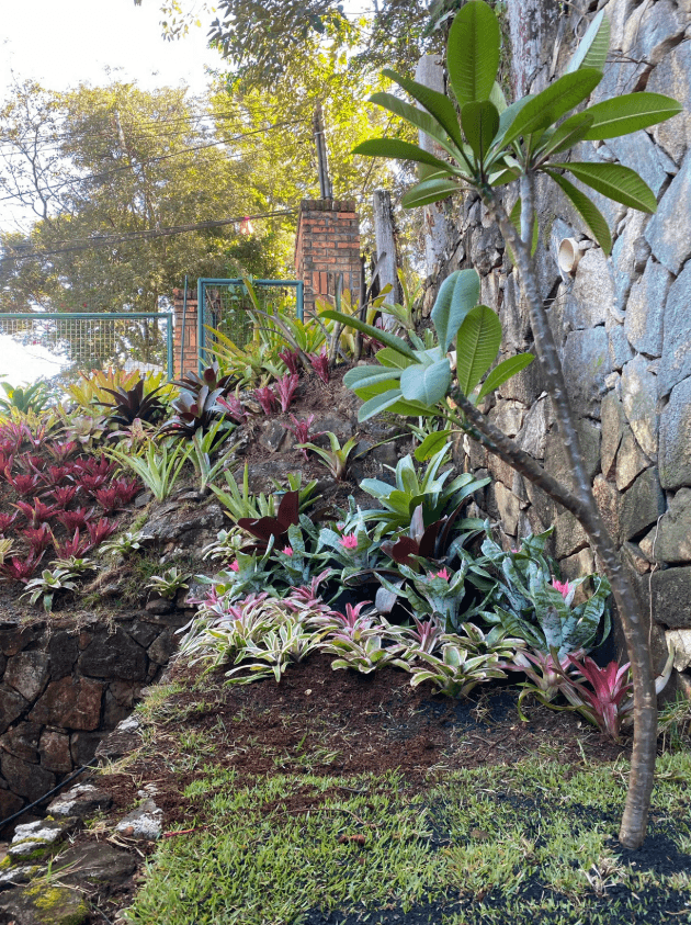 Casacor 2019 — Plantas de interior