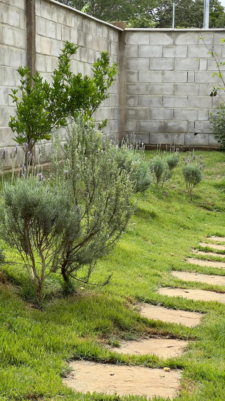 Casa Jaboticatubas —
