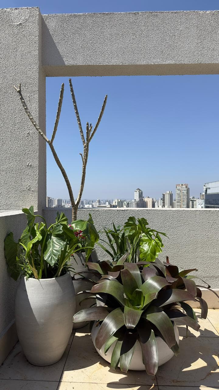 Cobertura Jardins SÃO PAULO —