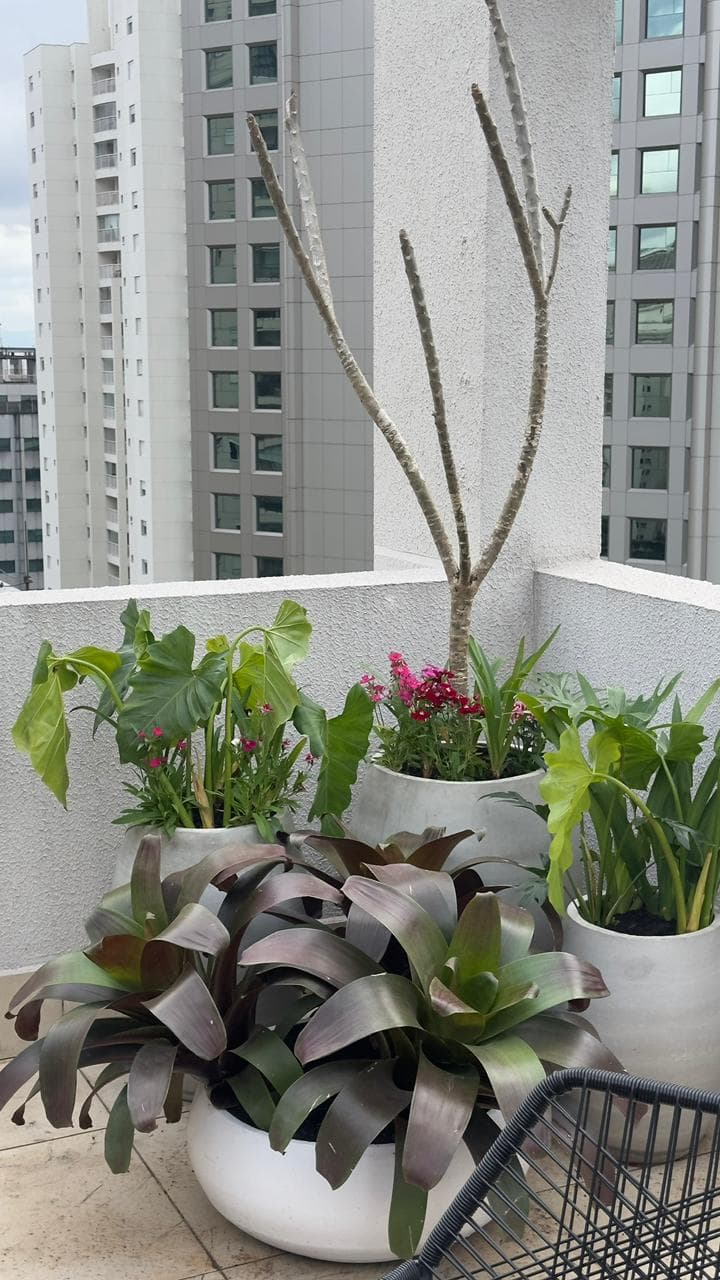 Cobertura Jardins SÃO PAULO —