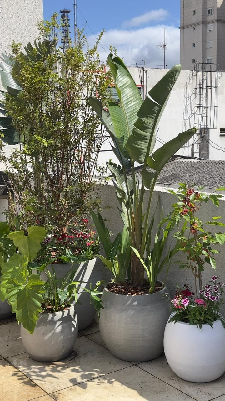 Cobertura Jardins SÃO PAULO —