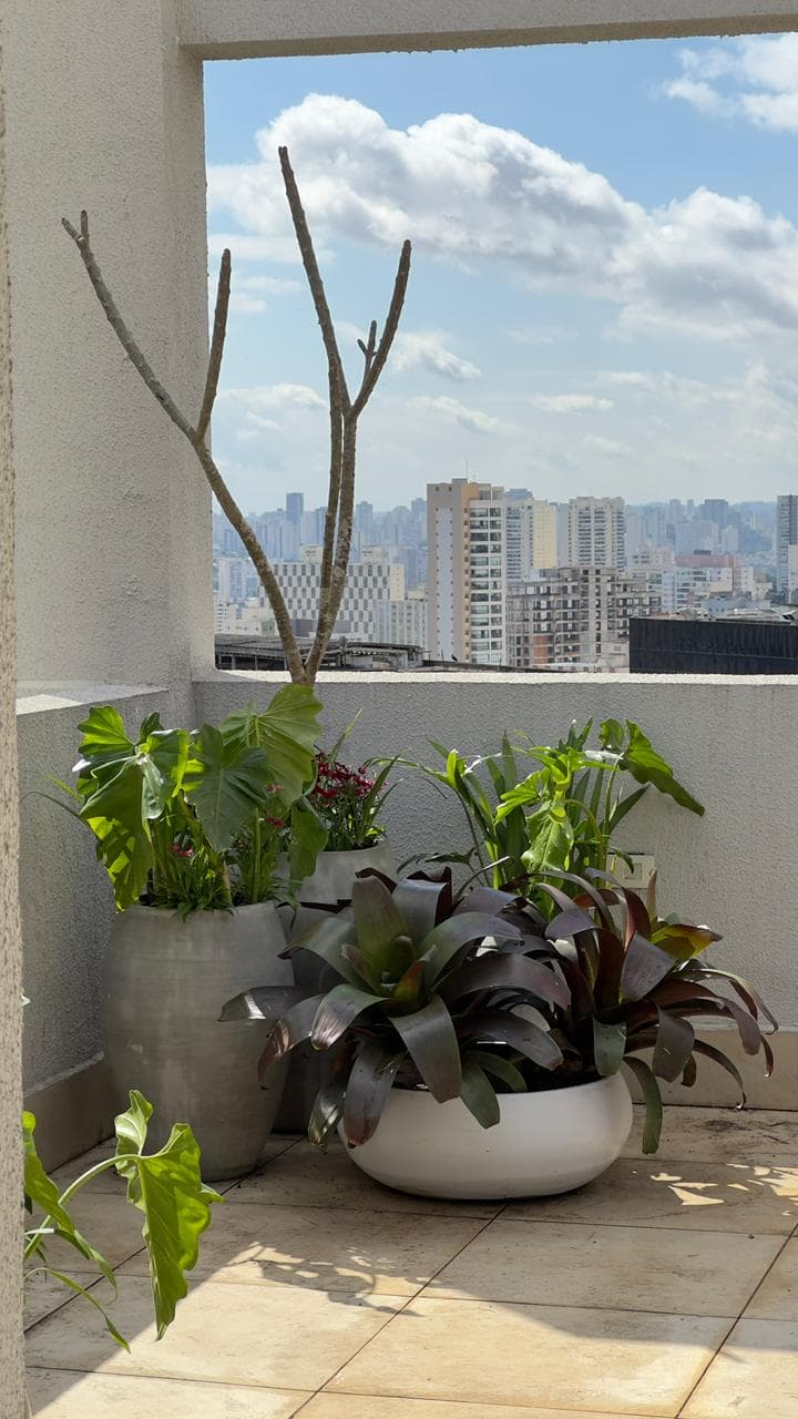 Cobertura Jardins SÃO PAULO —