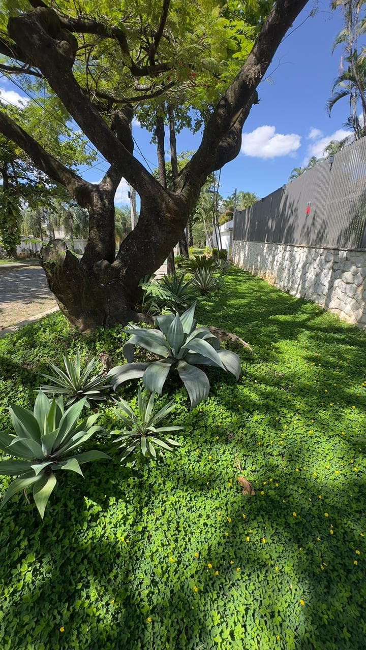 Casa Bandeirantes —