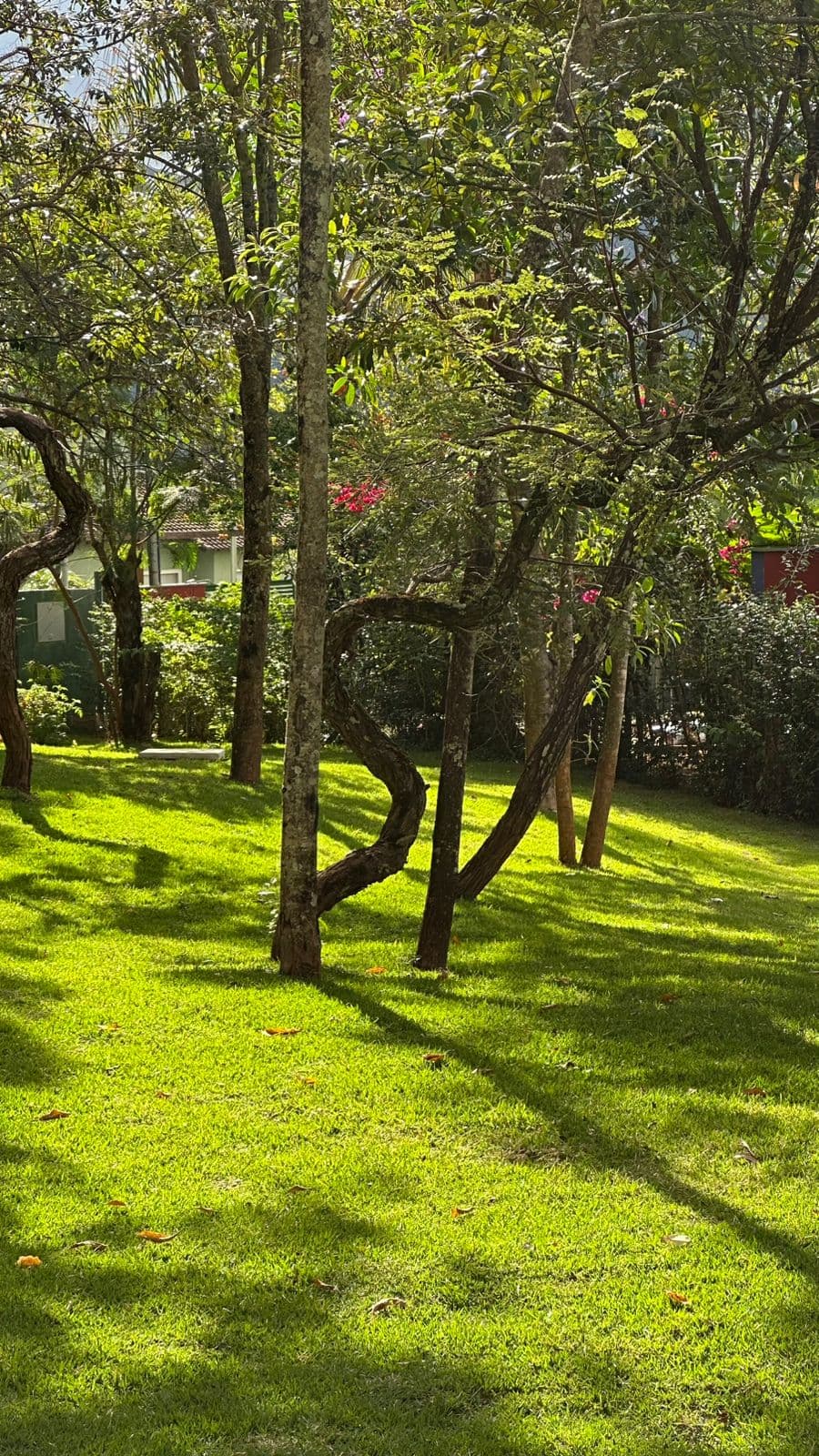 Casa Passárgada —