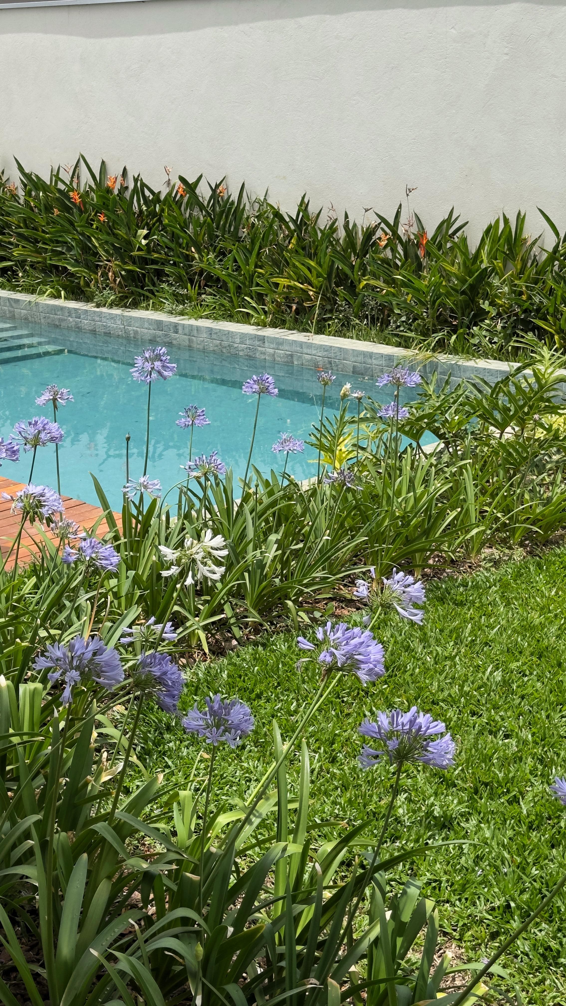 Condomínio Victoria Golf - LAGOA SANTA —