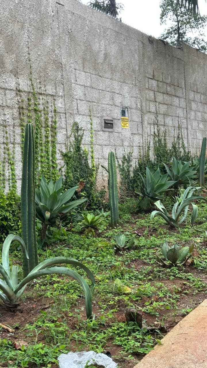 Casa Xangrilá —