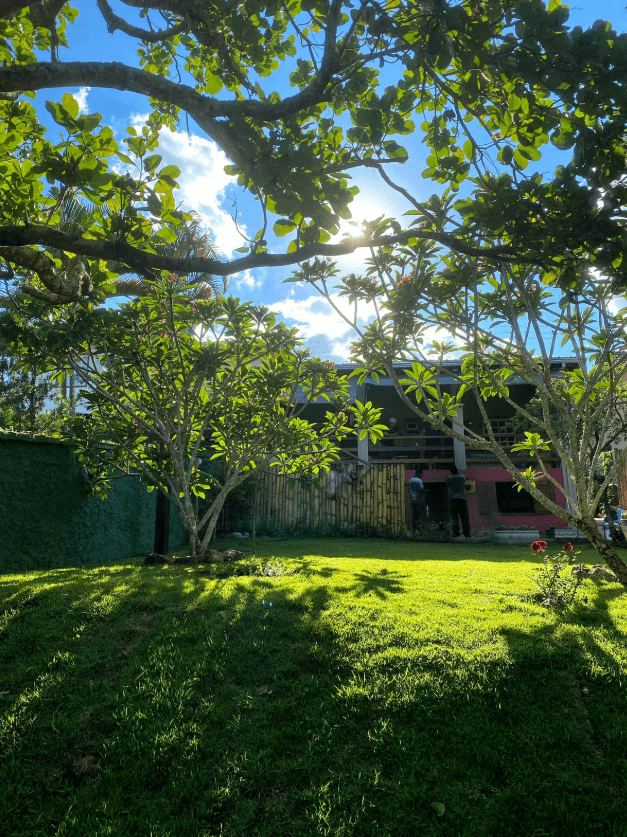 Casacor 2019 — Detalhe verde