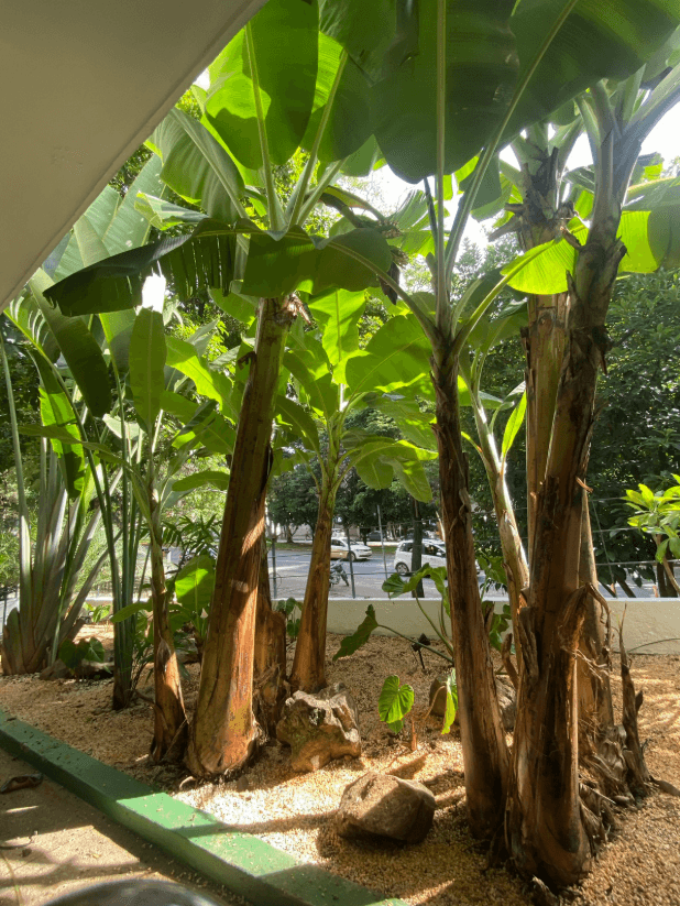 Casacor 2019 — Detalhe verde