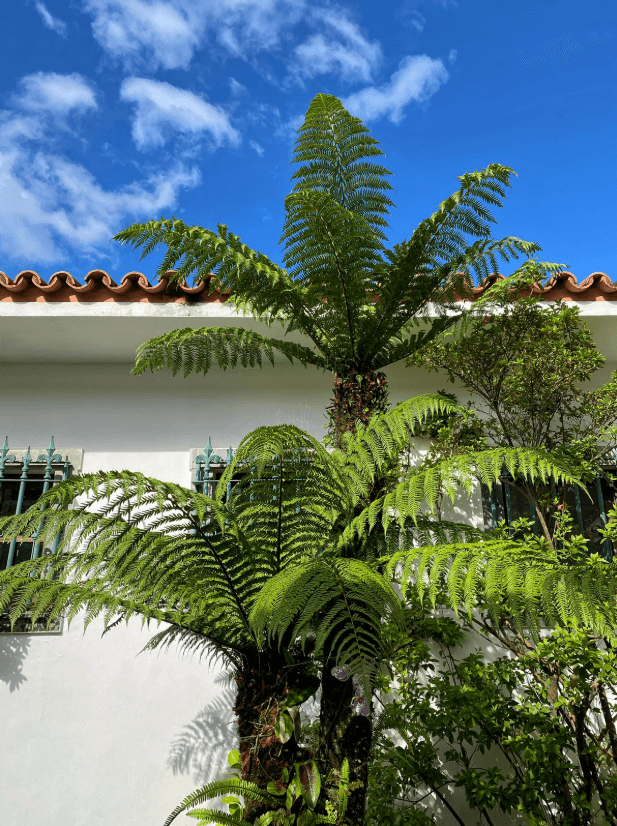 Casacor 2019 — Detalhe verde