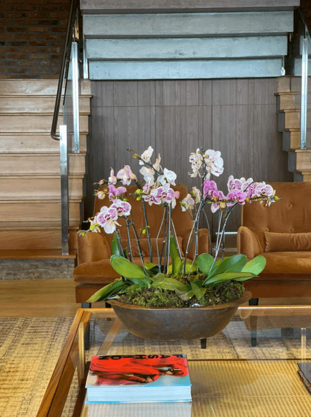 Casacor 2019 — Plantas de interior