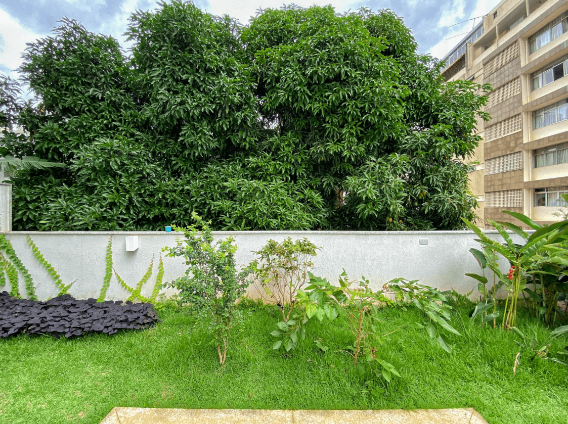 Casacor 2019 — Plantas de interior