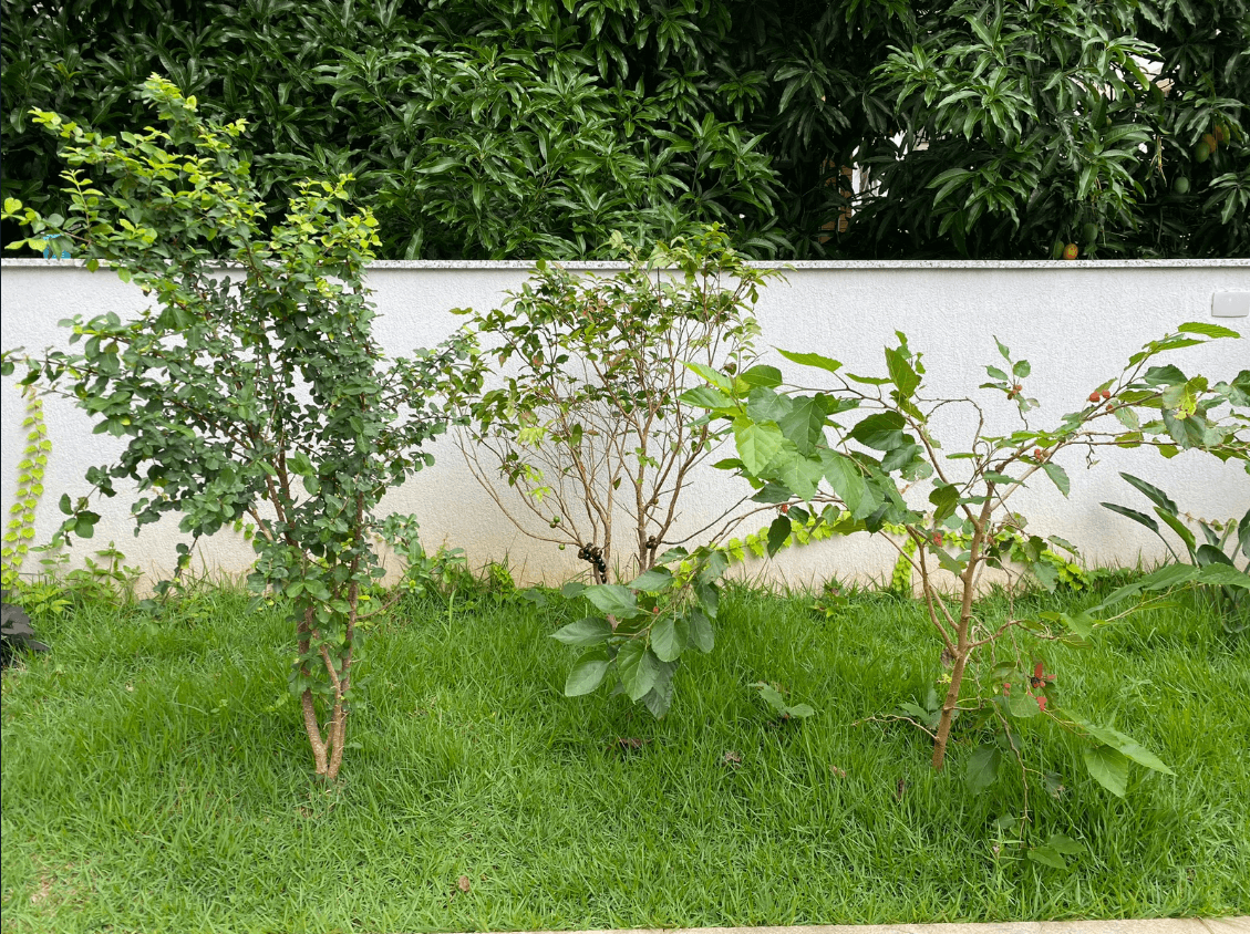 Casacor 2019 — Detalhe verde