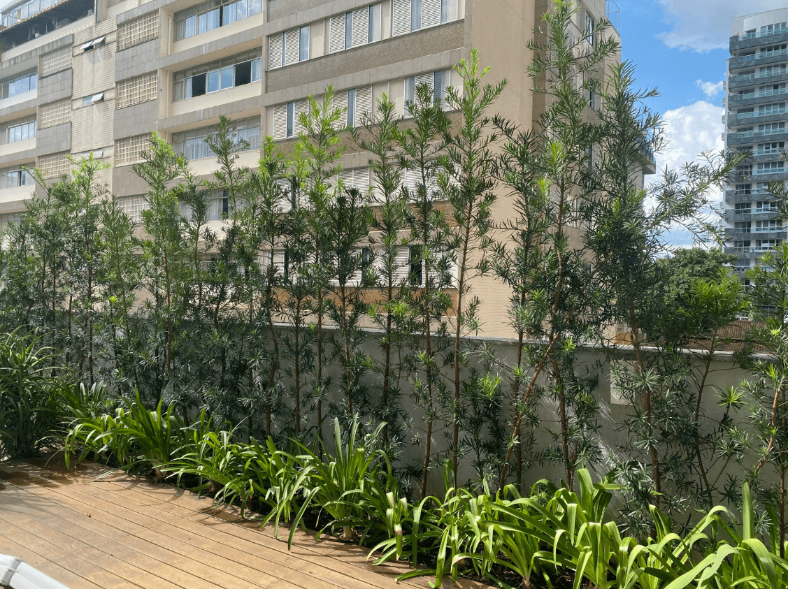 Casacor 2019 — Vista do espaço