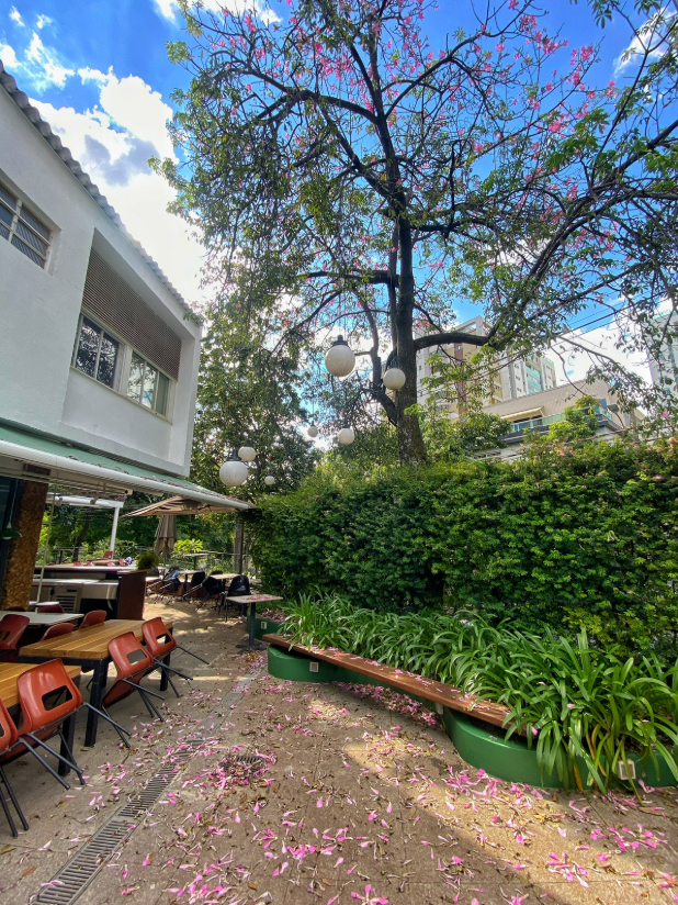 Casacor 2019 — Ambiente principal